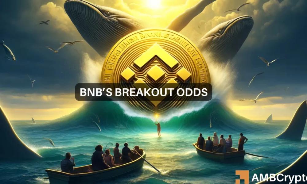 BNB价格预测-山寨币能否反弹至725美元？